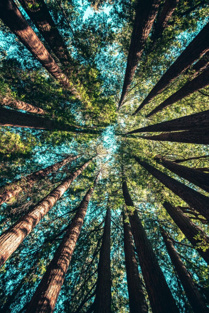 Grow into your endless possibilities