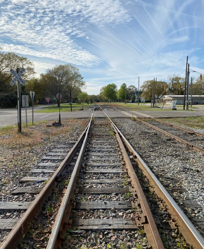 Your Surviving to Thriving Journey© by land